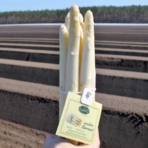 Spargel