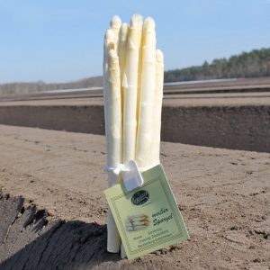 Spargel Weiß Klasse II 12+