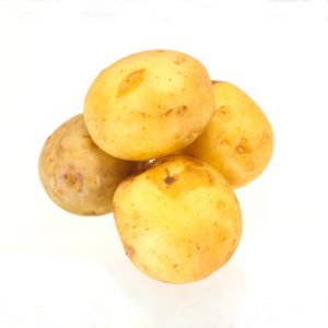 Frühkartoffel Leyla